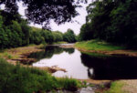 Fishing Border Esk, Canonbie - Jock's