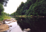 Sea Trout Fishing - Border Esk, Tommy's