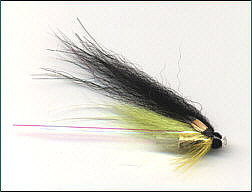 Salmon Bottle Tube - Yellow and Black