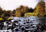 River Carron - Salmon, sea trout and trout fishing at Denny. permits for Larbert and Stenhousemuir A.C. water available locally.