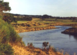 River Clyde, Lamington - trout and grayling fishing