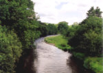 River Cothi - Sea trout fishing
