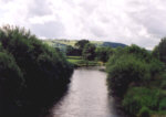 River Cothi - Sea trout fishing