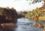River Earn, Templemill - Salmon, Sea trout, Brown trout, Grayling fishing