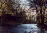 Cowden Mill Dam - a great sea trout pool on the river Endrick.