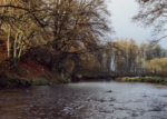 River Endrick - Salmon and sea trout fishing - end of season on Cowden Mill Dam.