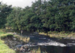 River Endrick, Coolies Lynn - salmon and sea trout fishing on this Loch Lomond tributary.