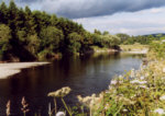 River Nith - Salmon and Sea Trout fishing