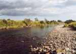 River Nith - Salmon and Sea trout fishing