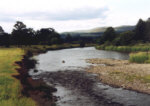 River Nith - Salmon and sea trout fishing - a nice looking sea trout pool.