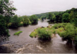 River Towy, Nangaredig - Sea trout fishing