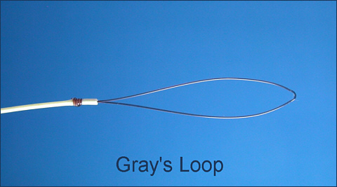 Gray's Loop