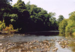 Fishing - River Annan - Hoddom, Milkfoot