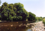 Fishing River Annan, Hoddom - Goat's Pool