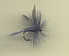 Trout Fly - Blue Dun