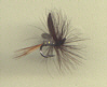 Trout Fly - GRHE