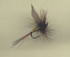 Trout Fly - Greenwell's Glory