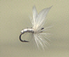 Trout Fly - White Moth