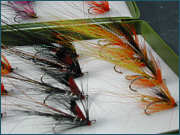 Cascade and Black Boar Salmon Fly