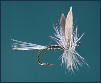 Trout Dry Flies