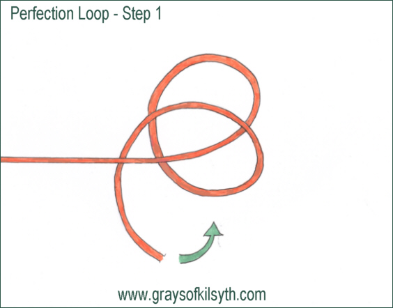 Perfection Loop - step 1