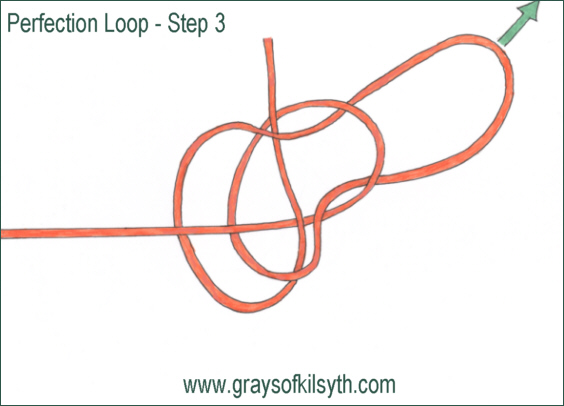 Perfection Loop - step 3