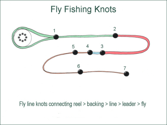 Fly Fishing Knots Example Collection with Loops and Twists Outline