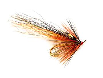 The Willie Gunn Flamethrower salmon fly