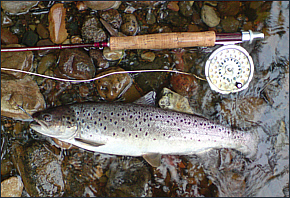 Fly Fishing in Scotland