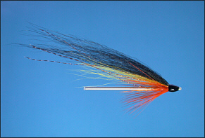 Fly Fishing Articles