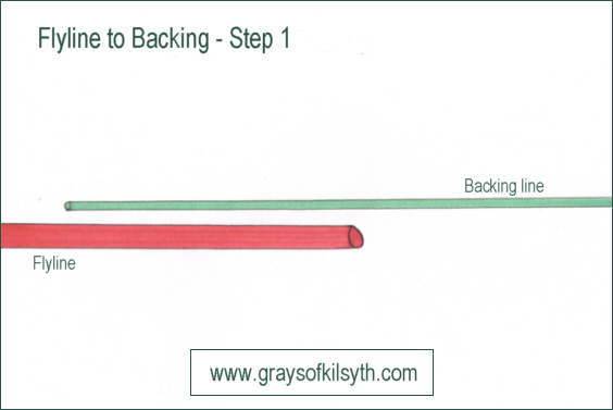 attaching fly line to backing line