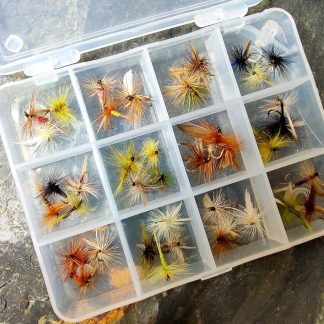 Box of Trout Dry Flies