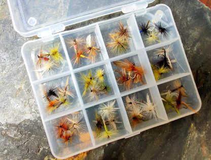 Box of Trout Dry Flies