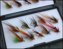 Modern Salmon Flies