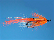 Ally's Shrimp salmon fly