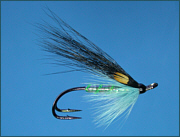 Editor salmon fly