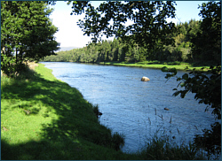 News - Salmon Fishing in Scotland