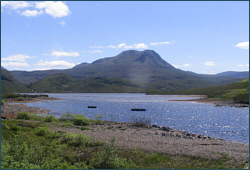 Trout Fishing Loch