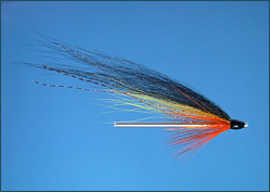 Tube Flies