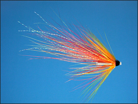 Fiery Cascade Salmon Tube Fly