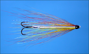  A Salmon Needle Tube Fly