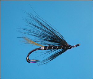 Stoat's Tail salmon fly