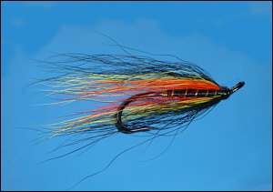Willie Gunn salmon fly