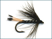 Scottish Trout Wet  Fly 