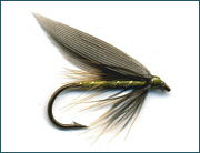 Scottish Trout Wet  Fly 