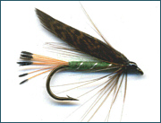 Scottish Trout Wet Fly 