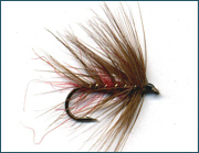 Scottish Trout Wet  Fly 