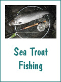 Sea Trout Fishing