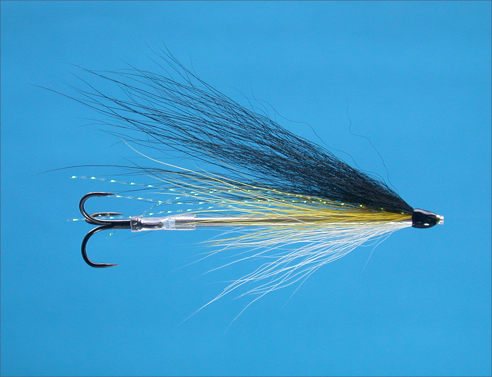 Amazon.com: trout fly patterns: Books