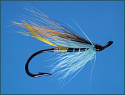 A Blue Charm salmon fly